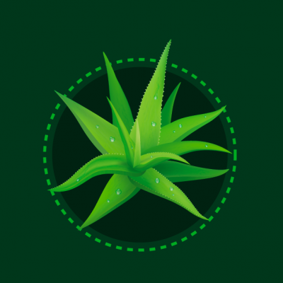 04-IMG-02-ALOE