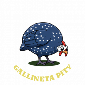 WEB-02-PITY WEB-02-PITY