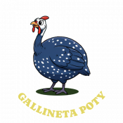 WEB-02-POTY WEB-02-POTY