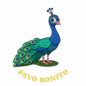 WEB-03-BONITO WEB-03-BONITO