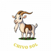 WEB-04-SOL WEB-04-SOL